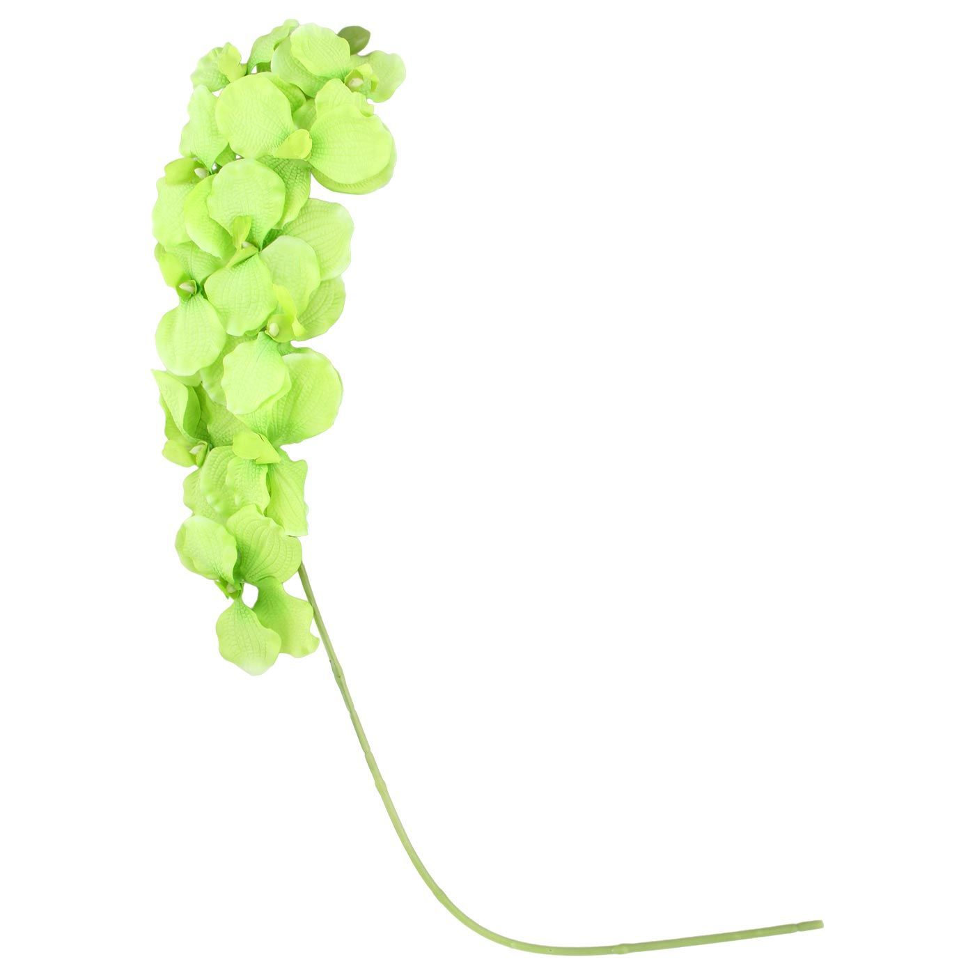 Furnia Artificial Flower Anggrek Bintang Green - 1