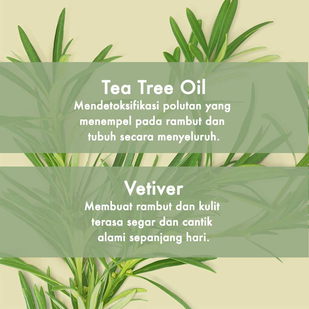 Love Beauty & Planet Radical Refresher, Tea Tree Oil & Vetiver Shampoo 400ml - 4