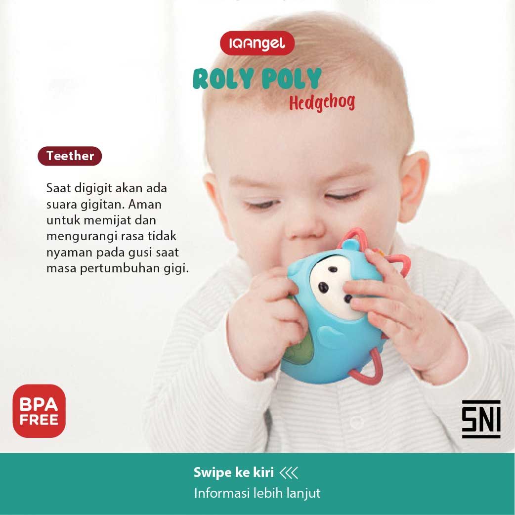 IQ Angel 2in1 Roly Poly Hedgehog Teether Toy - 6