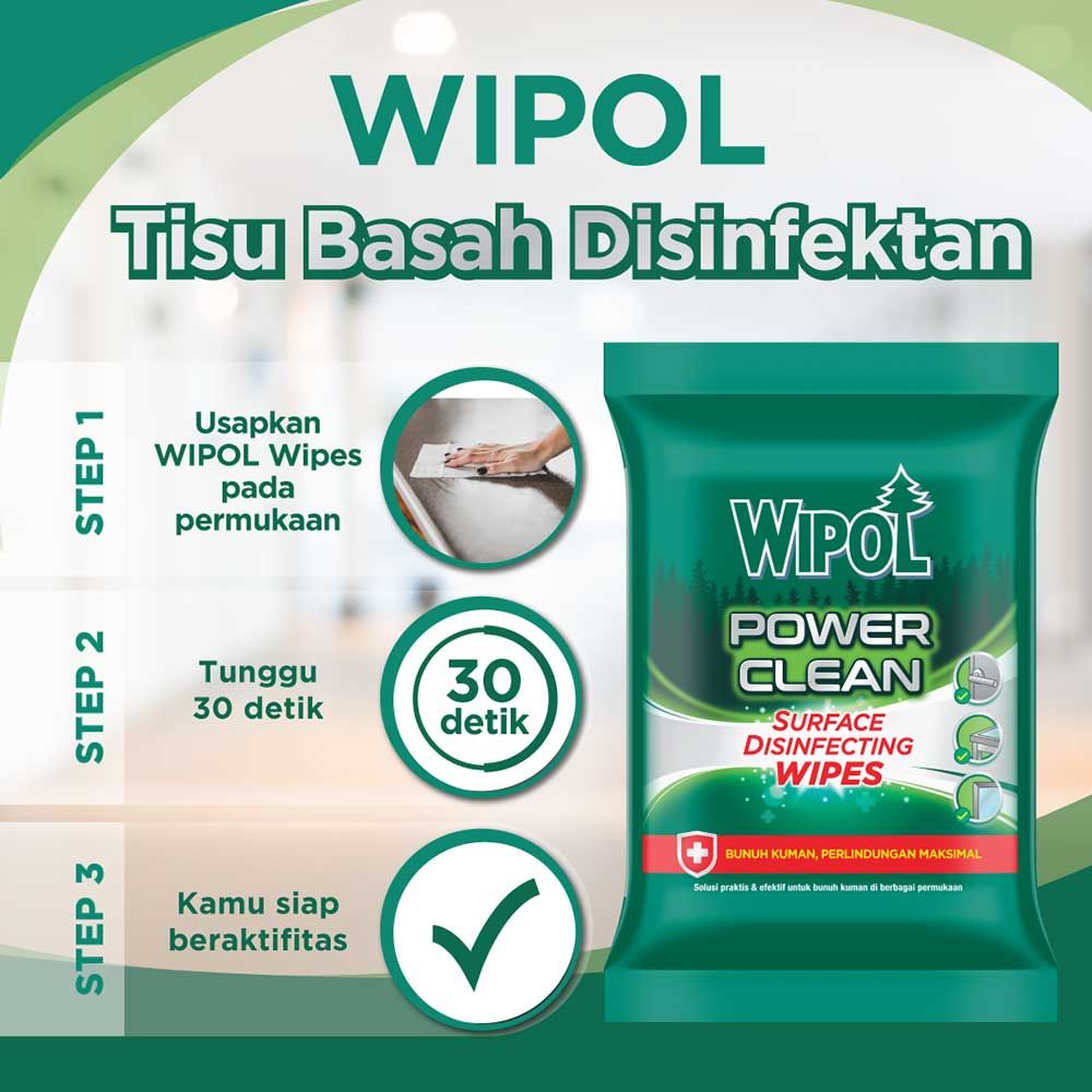 Wipol Multisurface Wipes 10s - 9