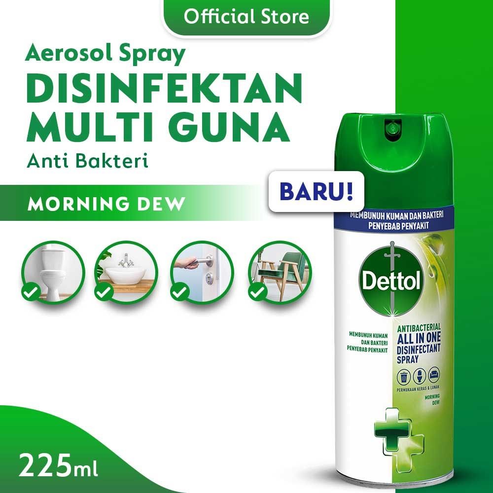 Dettol Desinfectan Spray Morning Dew 225ml - 1