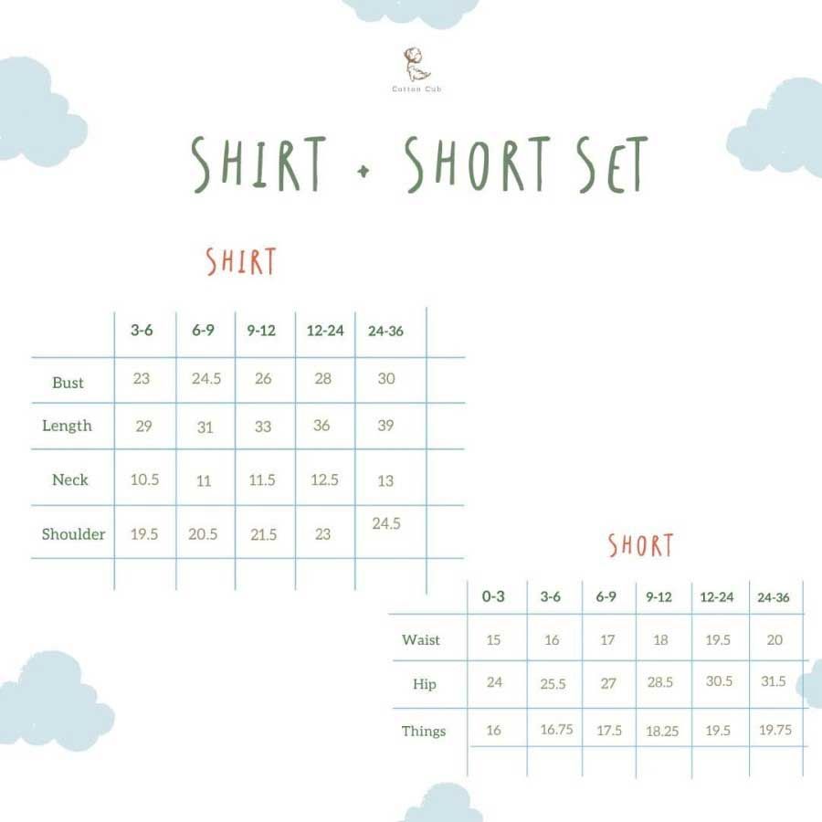 Cotton Cub Shirt and Short Set - Brown 6-9 Month - 2