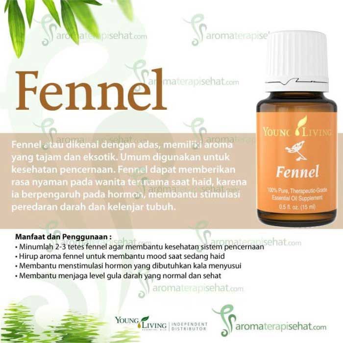 Young Living Essential Oil - Fennel 15ML - 1