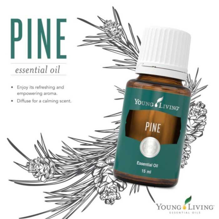 Young Living Essential Oil - Pine 15ML - 1