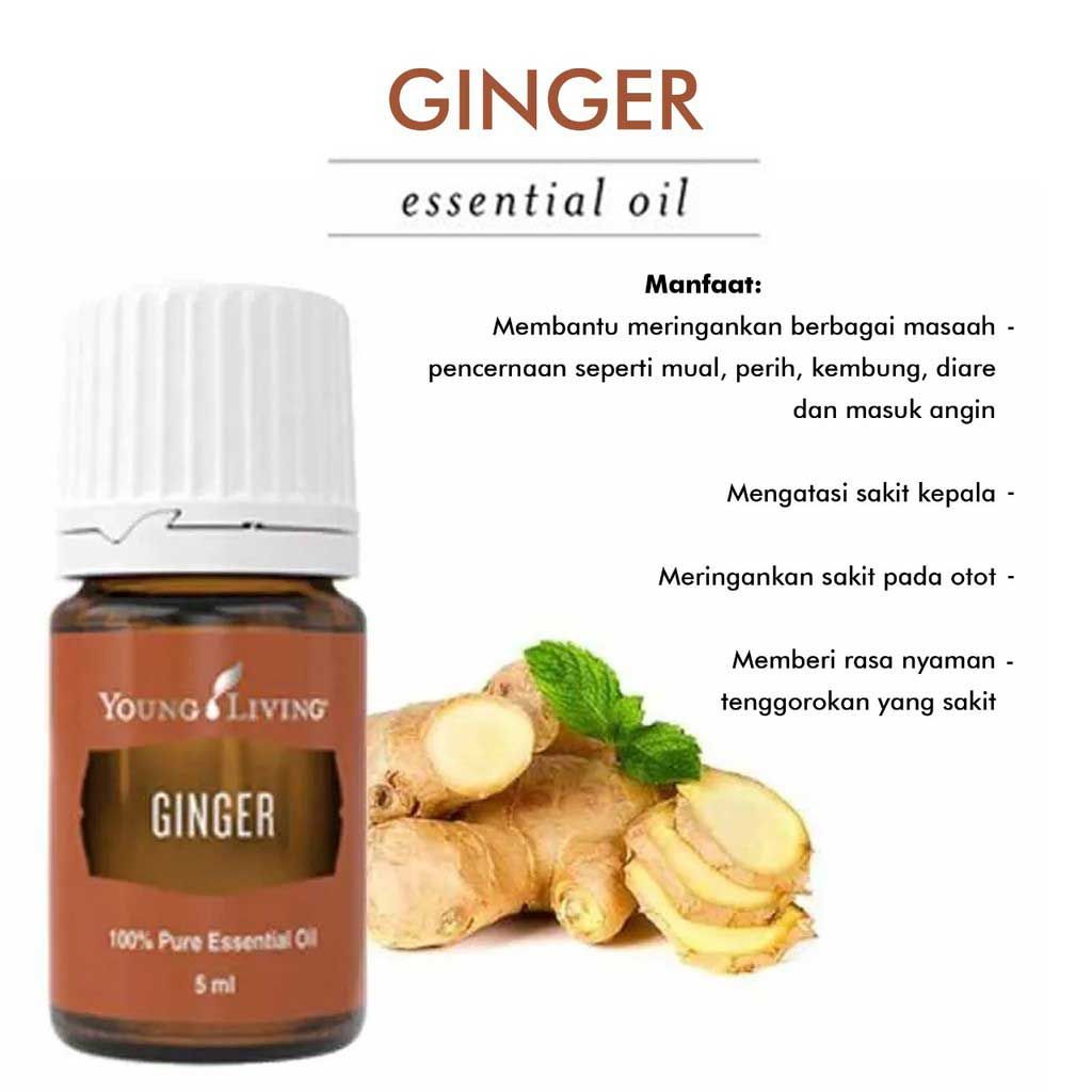 Young living gingerヤングリヴィング ジンジャー 5mL 倉