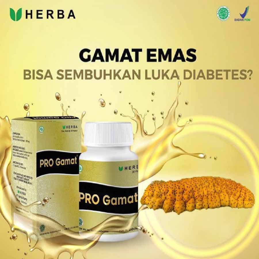 Herba Obat Herbal Pro Gamat - 3