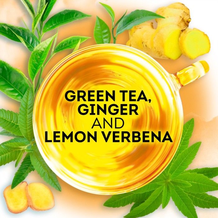 Lipton Tea Ritual Green Tea Ginger & Lemon Verbena Isi 15 - 2