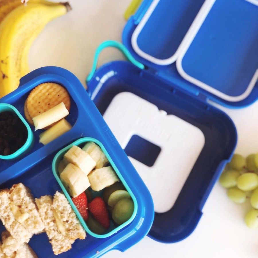 Zoku Neat Bento Blue