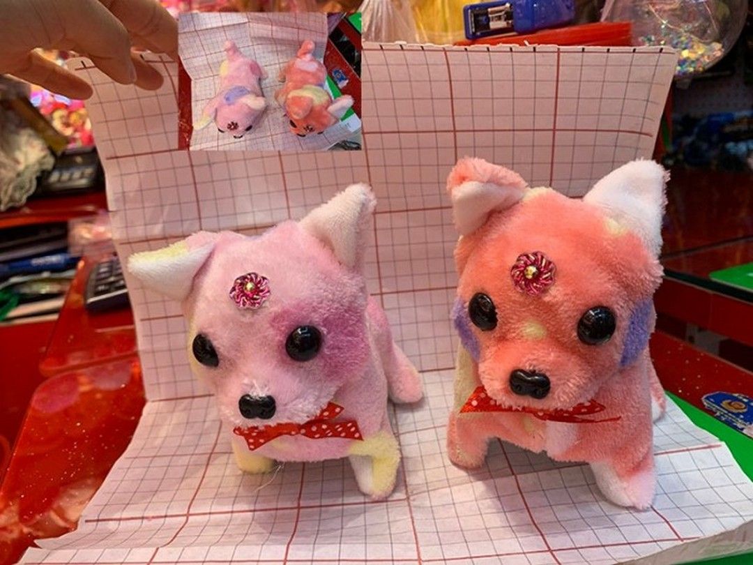 Mainan Anak Robot Boneka Anjing - 5