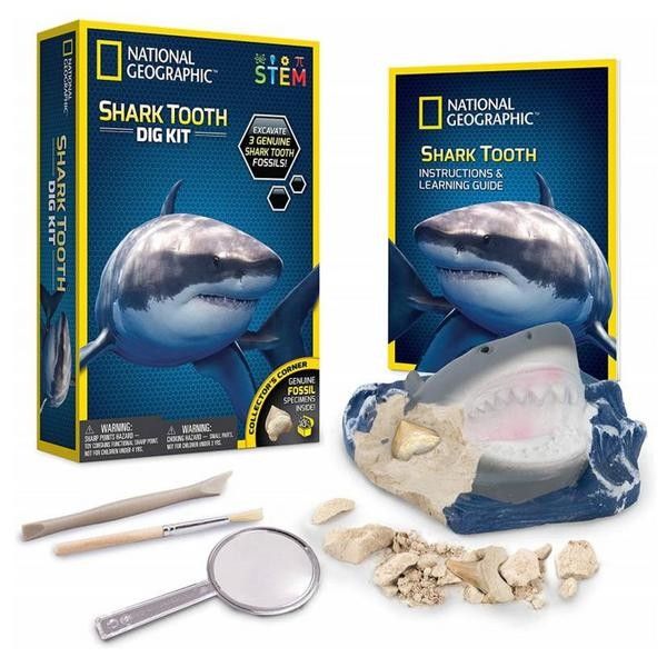 Mainan Edukasi Anak - Nat Geo Shark Tooth Dig Kit#Rtng41 - 2