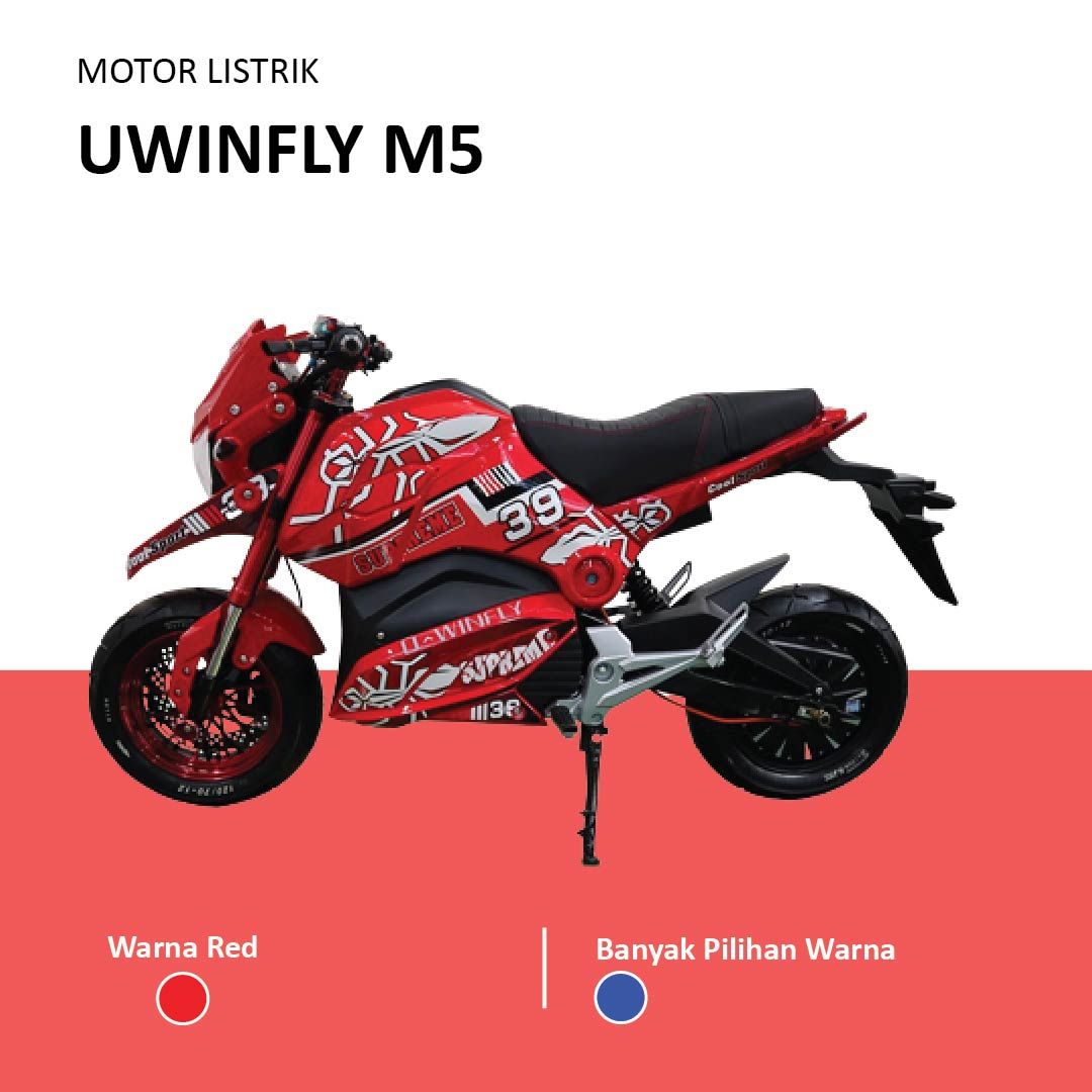 Sepeda Motor Listrik Uwinfly M5 By UWINFLY Electric Bike - 1