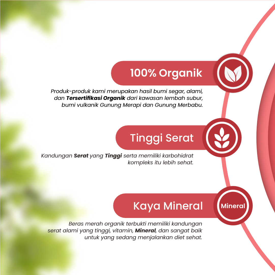 Wellfarm Beras Merah Wangi Super Premium Organik - 2