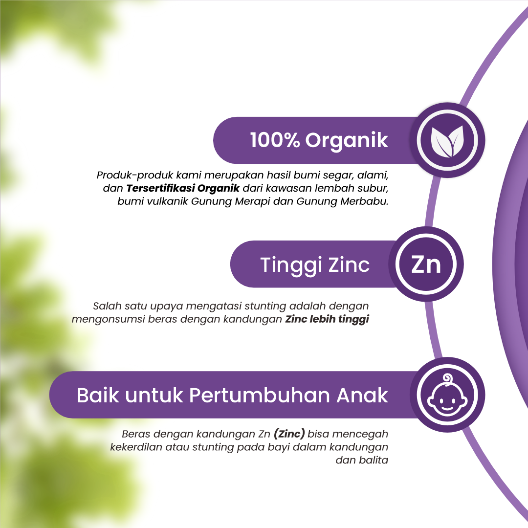 Beras Organik MPASI Kaya Zinc - WellFarm Amazinc Rice Organic - 2
