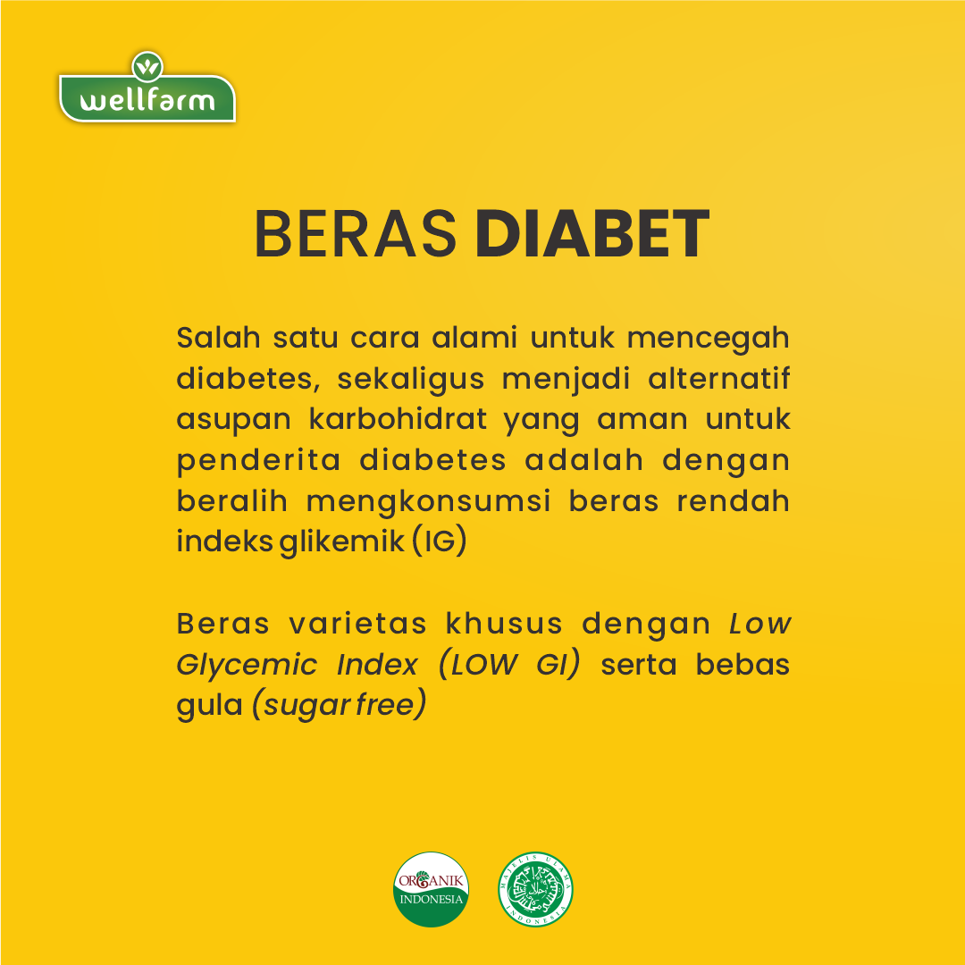 Beras Diabetes Organik Free Sugar - WellFarm - 3
