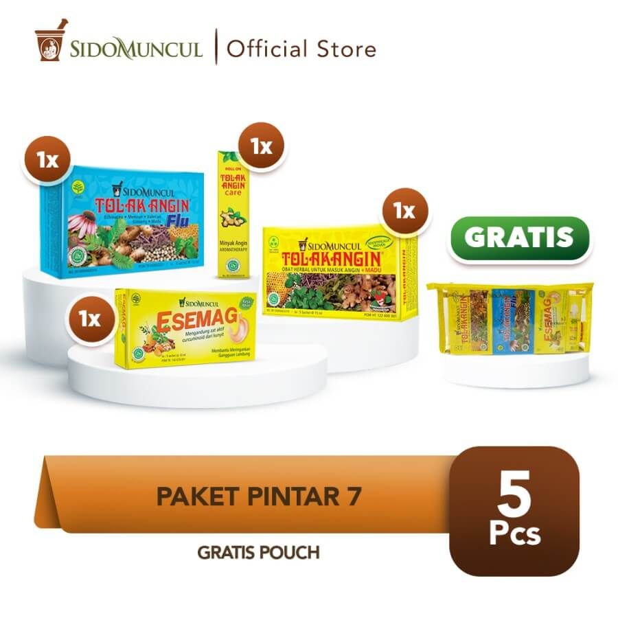 Paket Pintar 7 - Tolak Angin Cair Flu Care Esemag FREE Pouch - 1