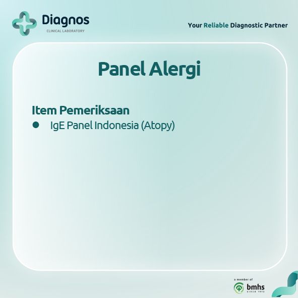 Paket Pemeriksaan Alergi igE - Diagnos Laboratorium - 2