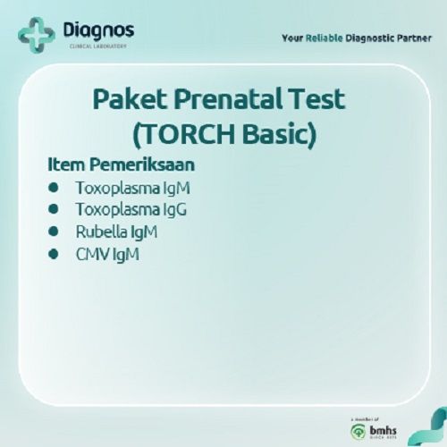Torch Basic - Diagnos Laboratorium - 2