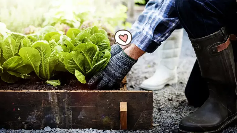 9 Manfaat Berkebun yang Berguna untuk Kesehatan Fisik dan Mental