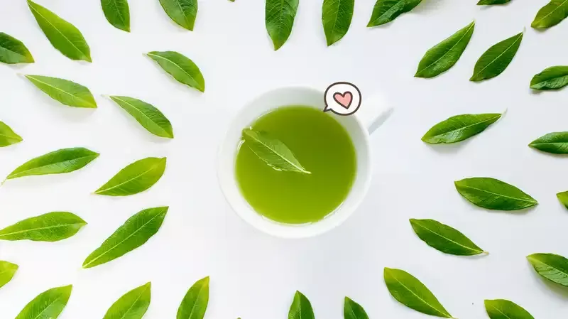 Green Tea untuk Kesuburan dan Pengaruh Buruknya!