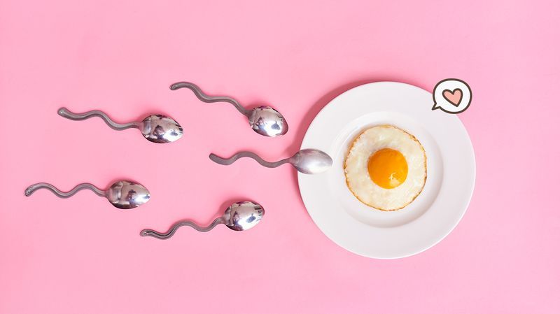Selain Makan Sehat, 5 Hal Ini Memaksimalkan Kualitas Sperma