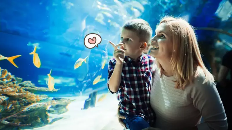 Benarkah Melihat Ikan di Aquarium Bisa Mengurangi Stres? Begini Kata Ahli
