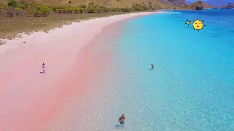 6 Pantai Pink Paling Indah di Dunia, Salah Satunya di Indonesia!