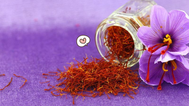Mengenal 10+ Manfaat Saffron untuk Kesehatan dan Kecantikan