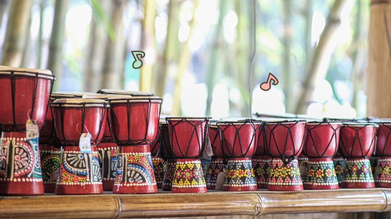 7 Jenis Alat Musik Maluku serta Cara Memainkannya, Ada Tifa, Arababu, Tahuri dan Jukulele