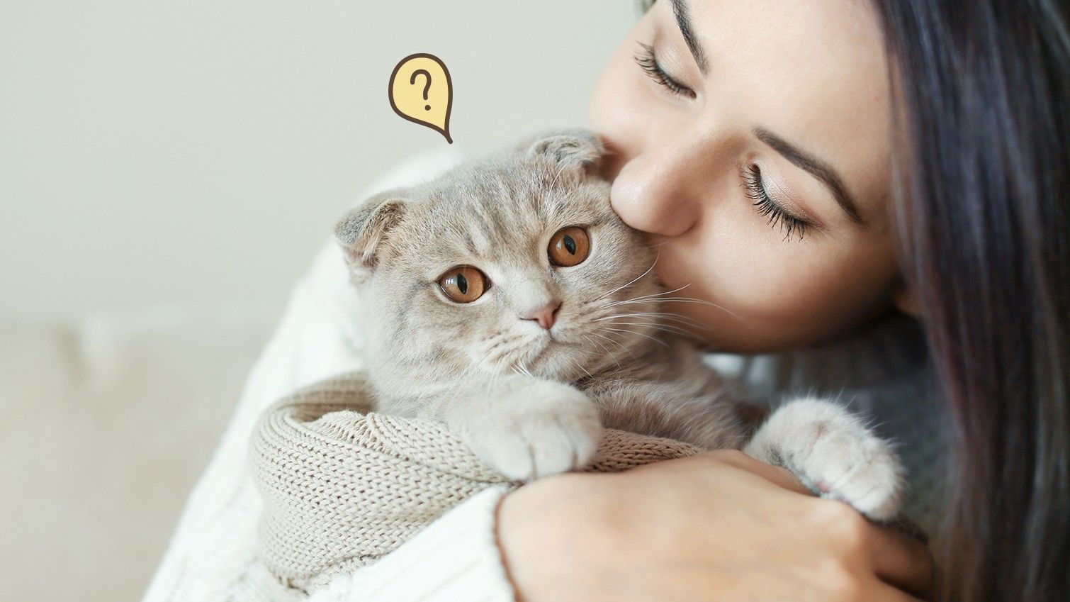Benarkah Memelihara Kucing Bikin Susah Hamil?