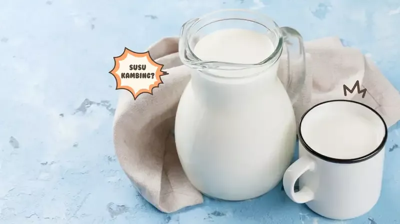 Bolehkah Memberikan Susu Kambing untuk Bayi Sebagai Pengganti Sufor?
