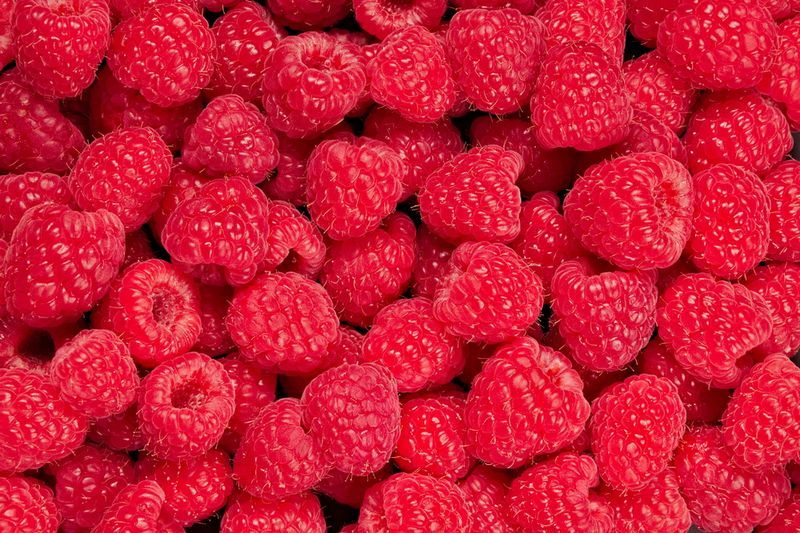 Kenalan dengan Buah Raspberry, Si Merah yang Punya Segudang Nutrisi