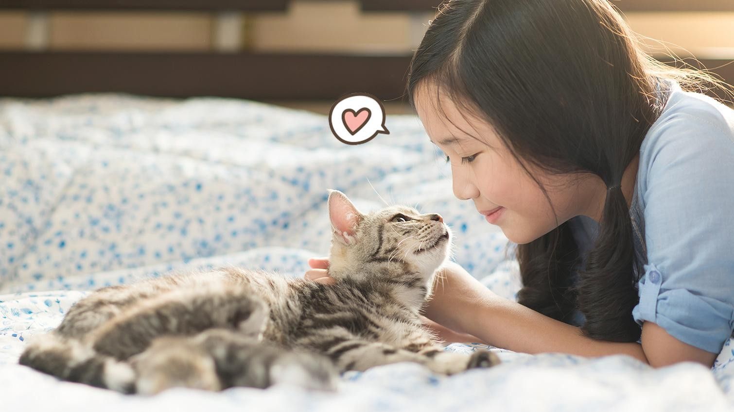 8 Fakta Ilmiah Seputar Kebaikan Memelihara Kucing Bagi Anak
