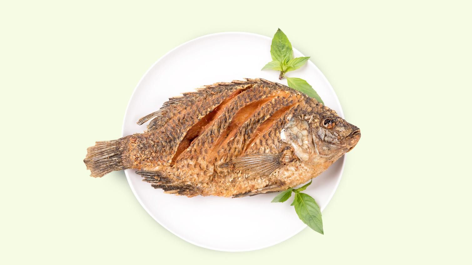 Lezat dan Sering Dikonsumsi, Padahal 5 Jenis Ikan Ini Punya Fakta Menyeramkan