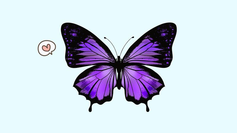 5 Filosofi Kupu-kupu, Salah Satunya Mengajarkan tentang Proses Perjuangan Hidup yang Tidak Instan
