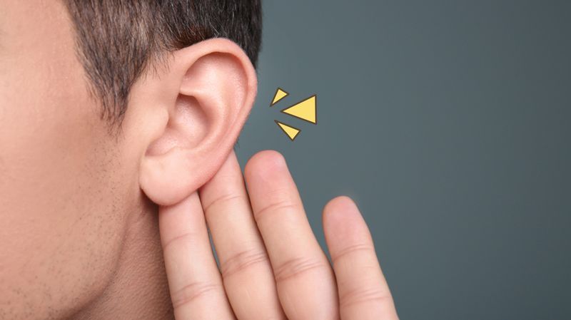 Fungsi Daun Telinga dan Cara Tepat Merawatnya