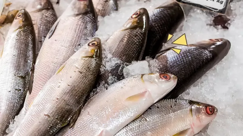 Segudang Manfaat Ikan Bandeng untuk Kesehatan Tubuh, Tidak Main-Main!