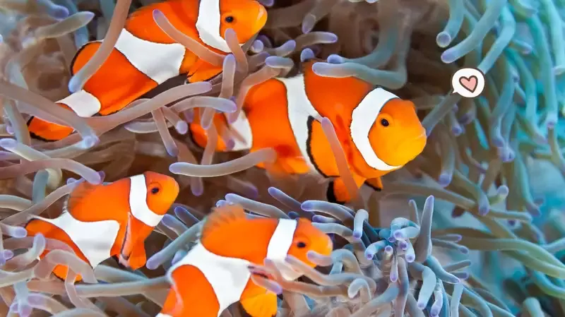 10 Ikan Hias Air Laut yang Perawatannya Gampang, Coba Pelihara Clownfish, Moms!