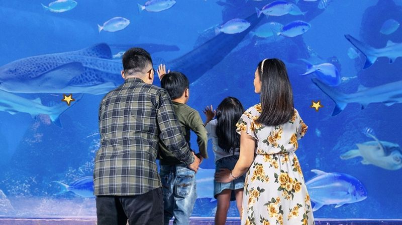 Panduan Liburan di Jakarta Aquarium & Safari, Cek Harga Tiketnya!