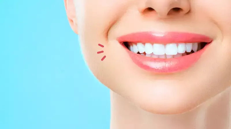 Mengenal Beragam Jenis Gigi dan Anatominya