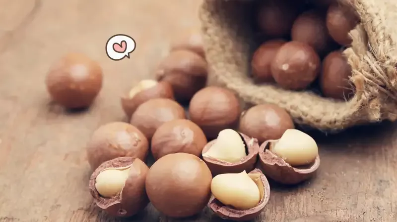 7 Manfaat Menakjubkan Kacang Macadamia, Camilan Sehat untuk Keluarga!