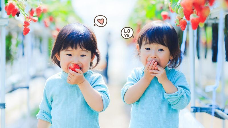 Segala Hal yang Harus Moms Ketahui tentang Bayi Kembar Siam