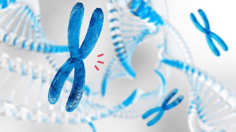 Kromosom Manusia, Struktur DNA yang Memberi Ciri pada Tubuh dan Wajah