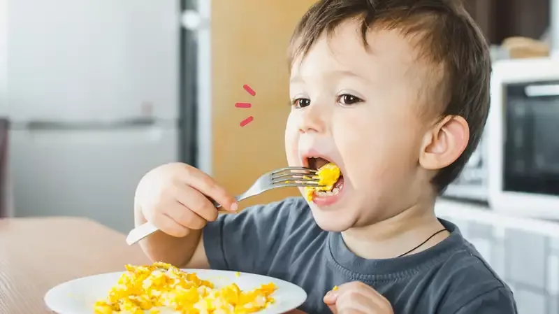 Bolehkah Anak Makan Telur Setiap Hari? Begini Kata Dokter!