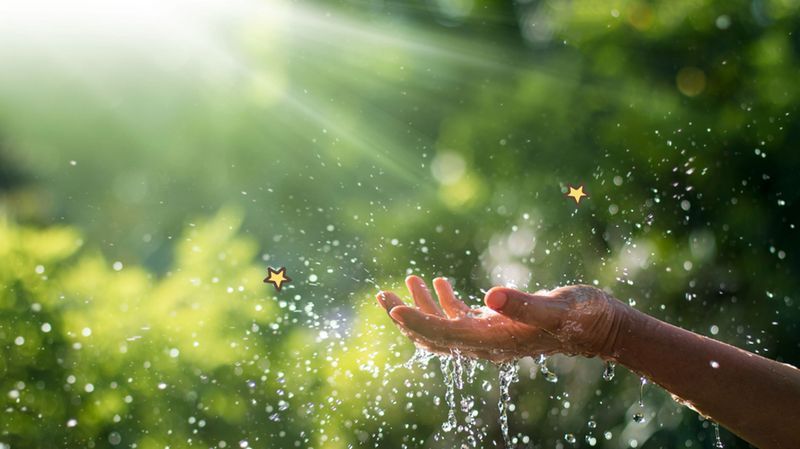 Ini 10 Manfaat Air bagi Makhluk Hidup, Moms Sudah Tahu Semuanya?