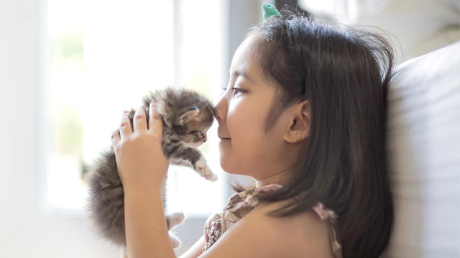 Manfaat Baik Memelihara Kucing Bagi Anak