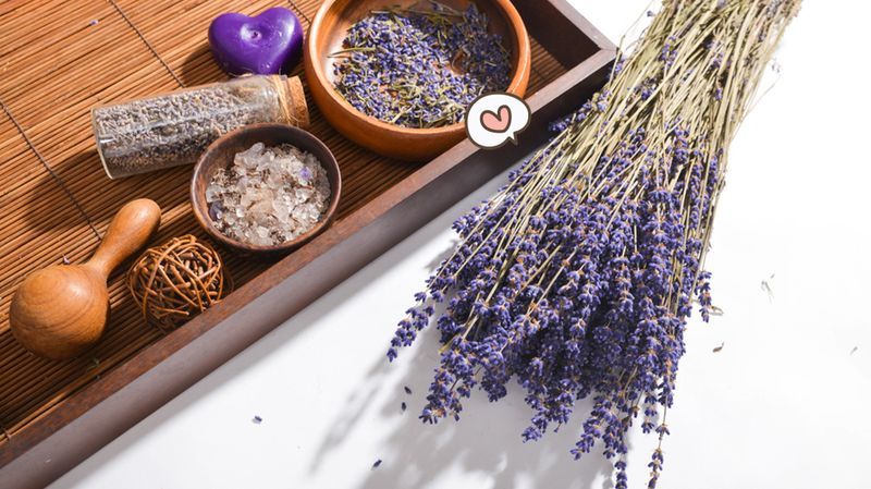 8 Manfaat Lavender yang Tak Terduga, Bisa Meningkatkan Kualitas Tidur hingga Redakan Kecemasan!