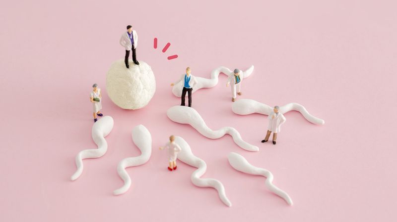 Sedang Program Hamil? Ketahui Dulu 3 Penyebab Sperma Tidak Masuk ke Indung Telur