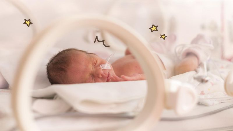 Mengenal Inkubator Bayi, Tempat Tidur untuk Bayi dengan Kondisi Tertentu