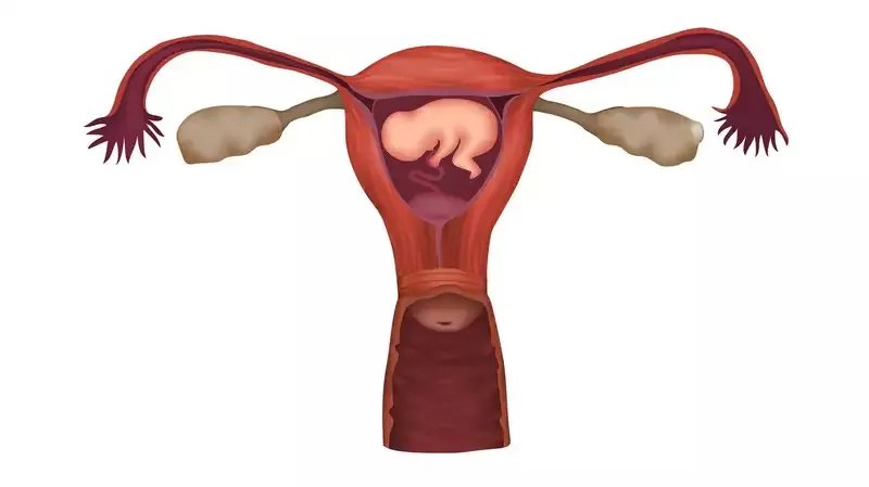 Bahayakah Placenta Previa Selama Kehamilan?