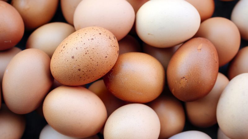 Telur Infertil: Pengertian, Bahaya, dan Cara Membedakan dengan Telur Normal